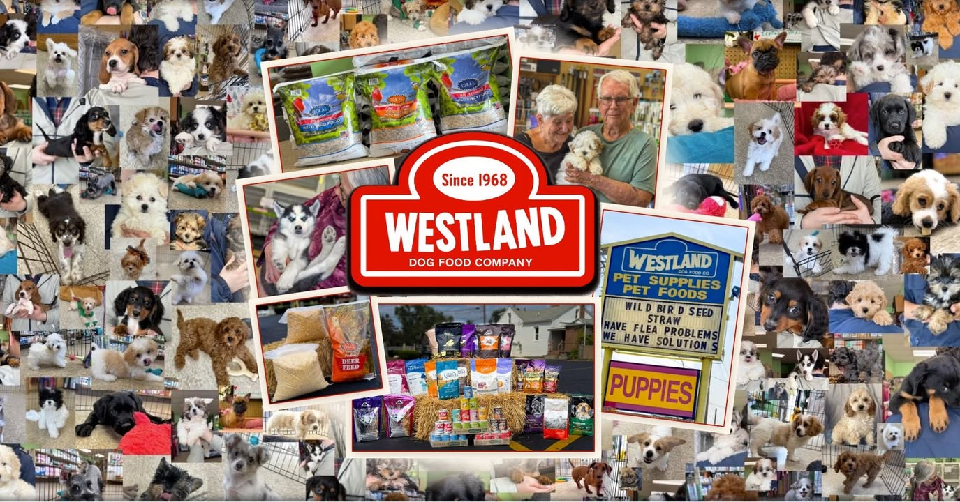 Westland Dog Food
