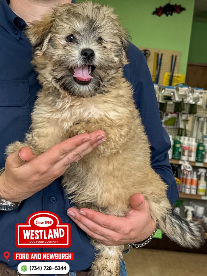 Westland Dog Food